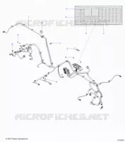 ELECTRICITE, WIRE HARNESS
