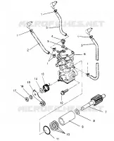 POMPE A HUILE XLT TOURING 0952857 and  EUROPEAN XLT TOURING E952857 (4929172917C013)