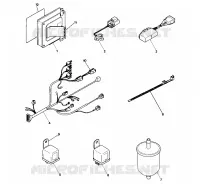 PIECES EFI (4918391839031A)