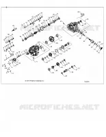 DRIVE TRAIN, PONT PRINCIPAL