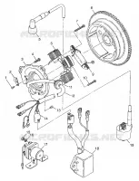 STATOR XPLORER 300 W97CC28C (4939813981D001)