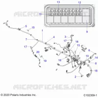 ELECTRICITE, HARNESS