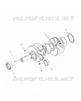 ENGINE, VILEBREQUIN