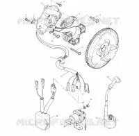 STATOR