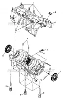 CARTERS MOTEUR 500 EFI 0973774 (4938423842C005)