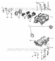 CARTERS MOTEUR