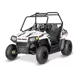 RZR 170 EFI
